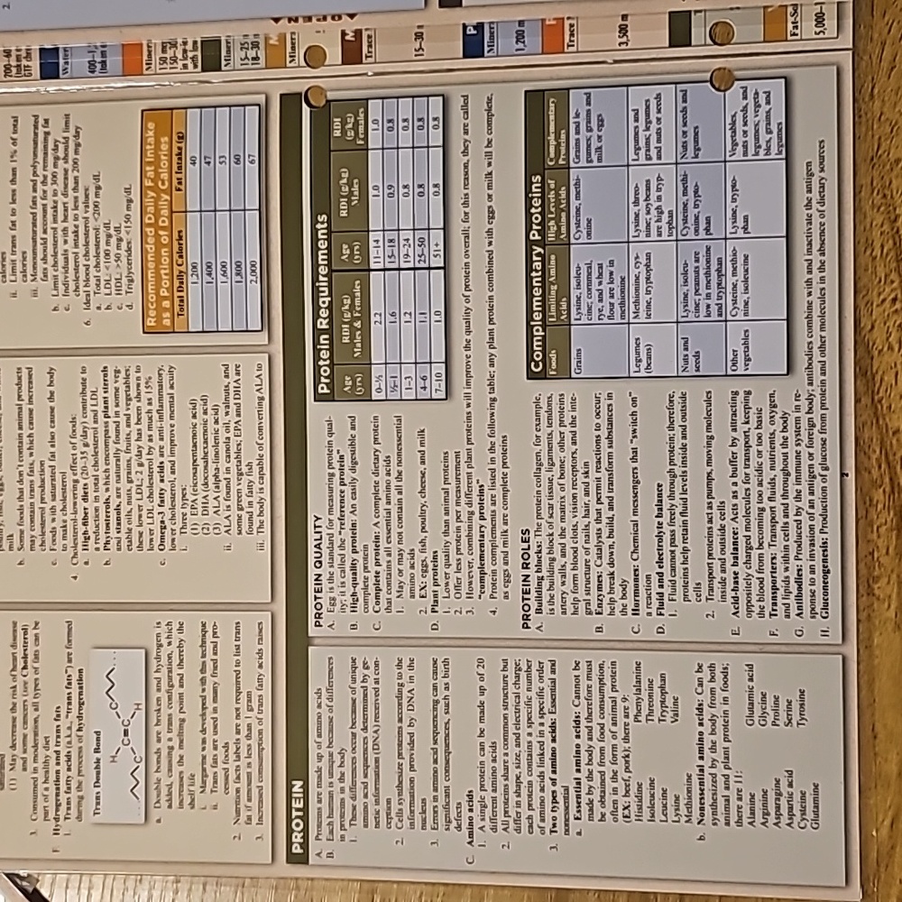 Nutrition study guide‎ - Picture 3 of 6